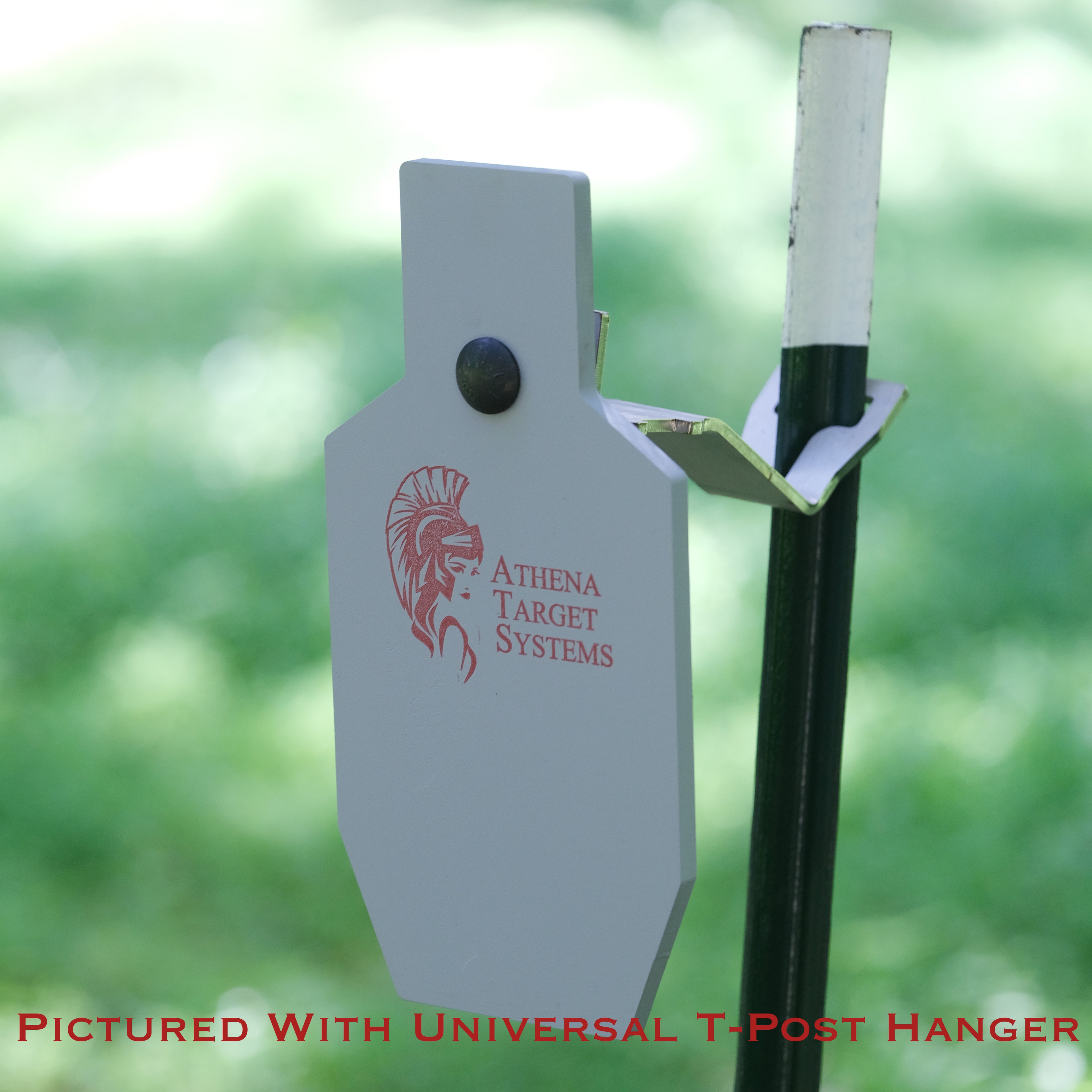 12" AR500 Single Hole Torso
