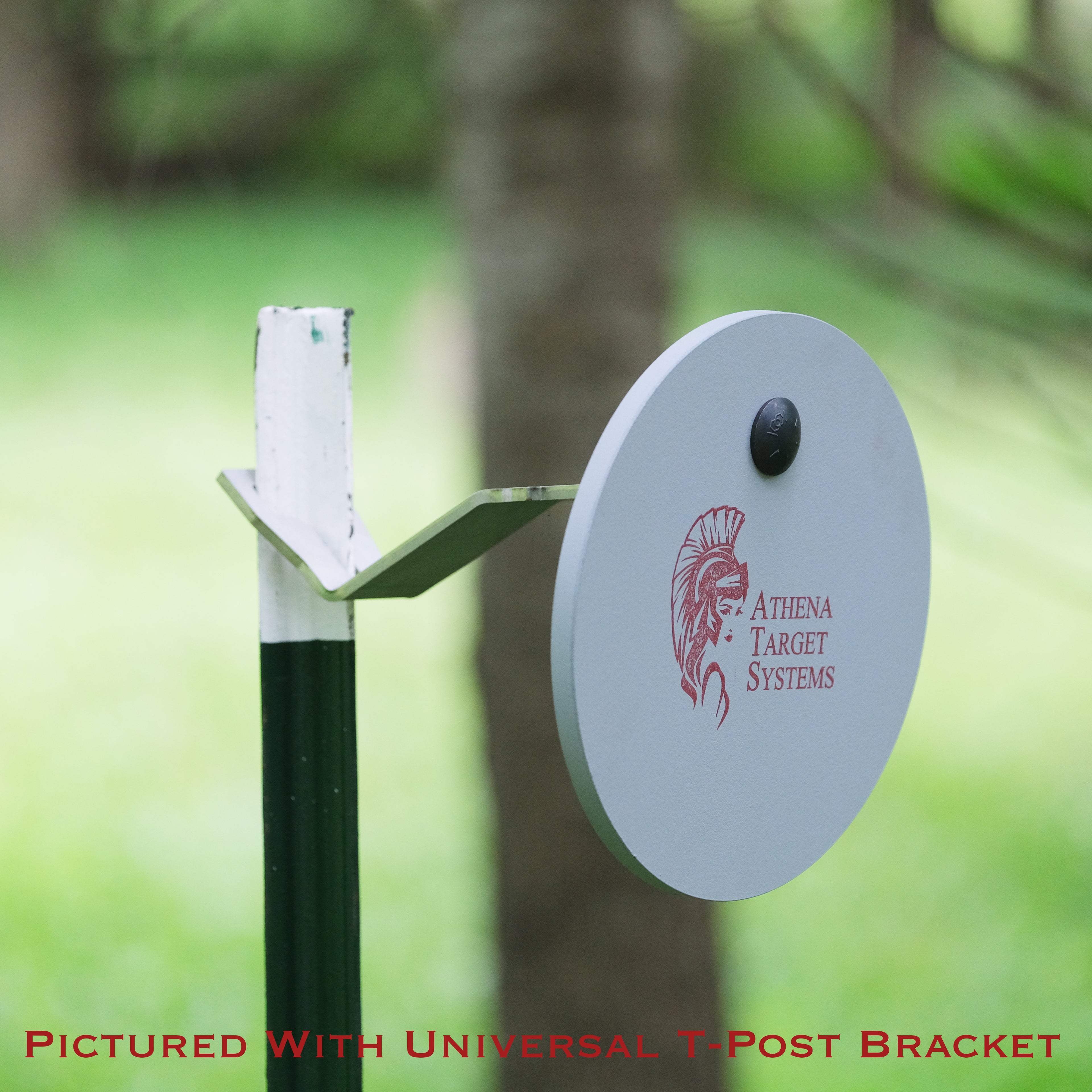 8" Single Hole Gong