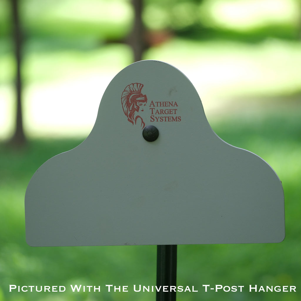 Fast Freddie Single Hole Target