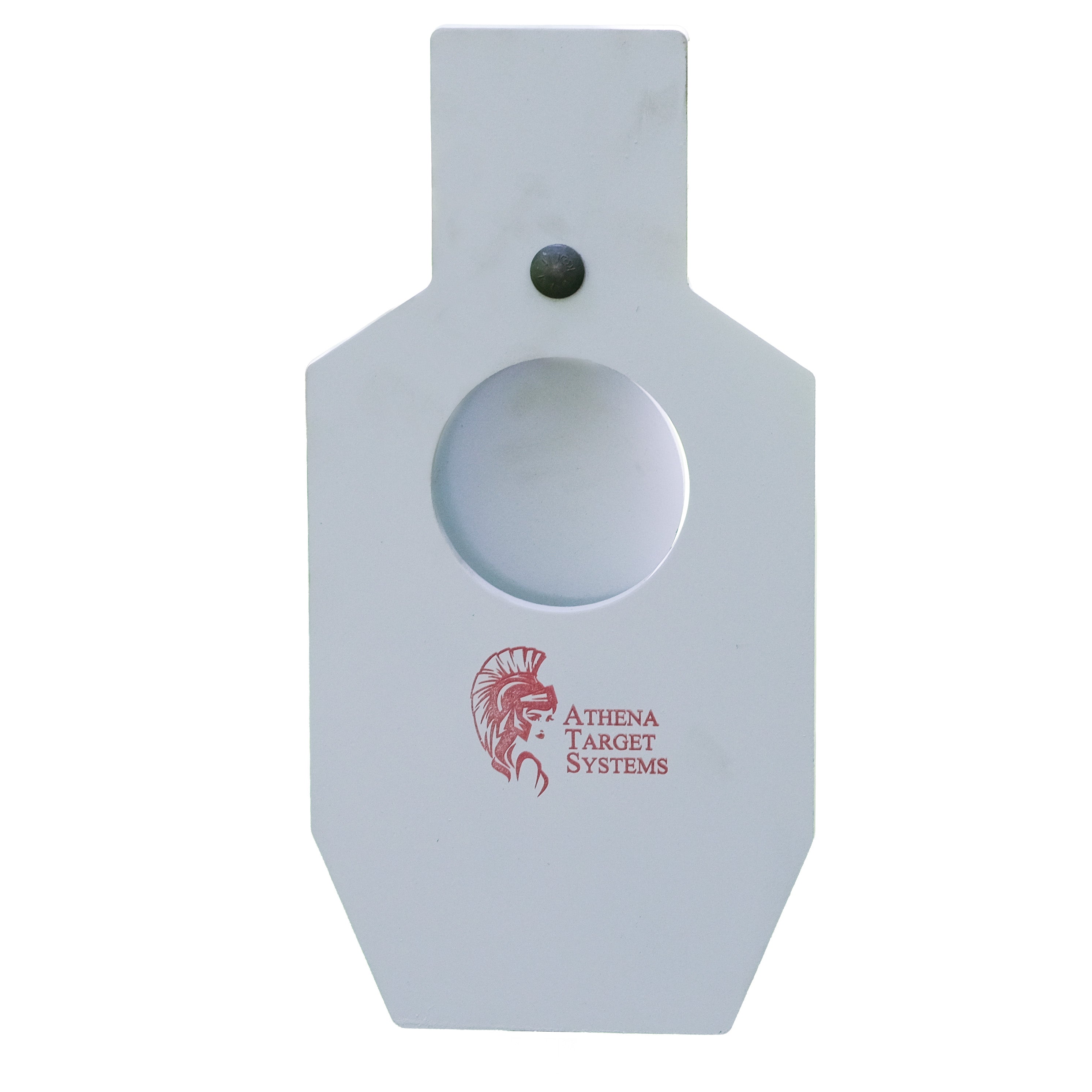 20" Single Hole Dynamic Bullseye Torso Target with Dynamic T-Post Hanger.