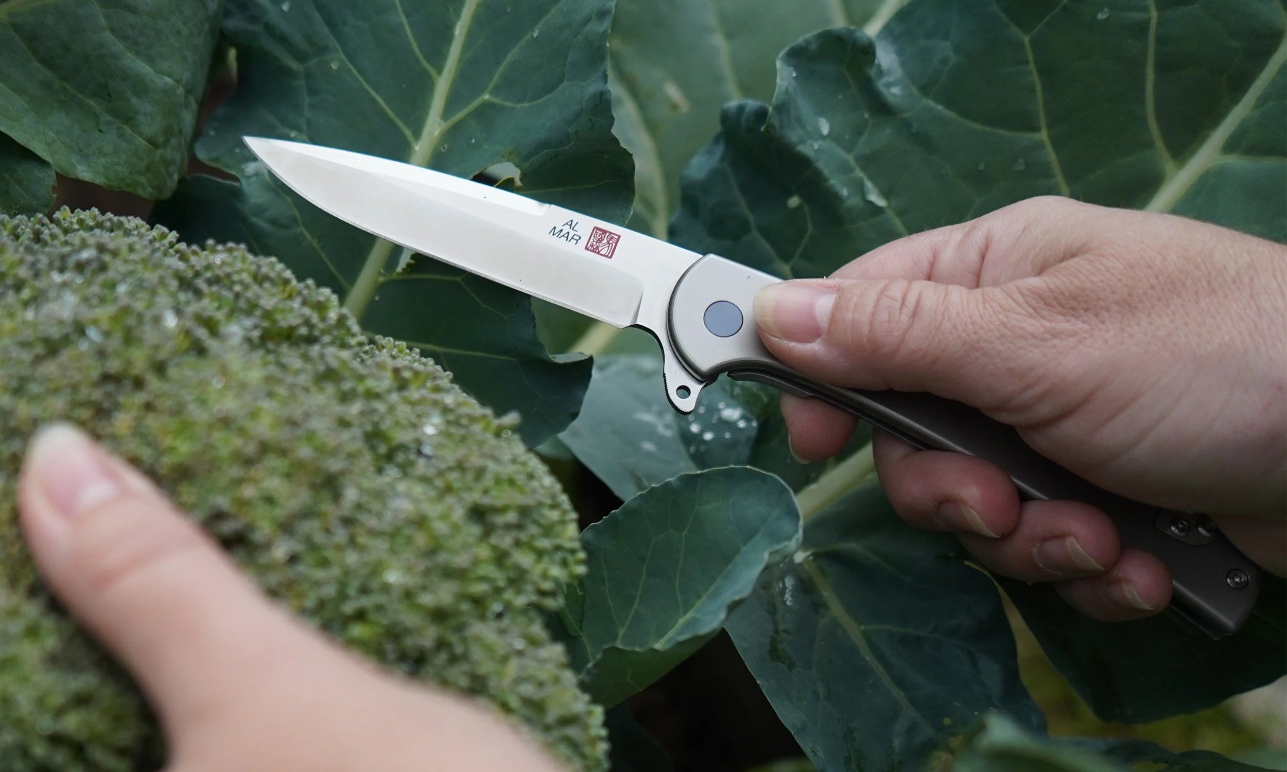 Almar 3.1" Ultra-Thin Knife